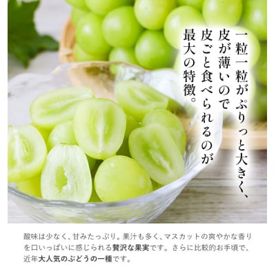 冷蔵シャインマスカット2房540g以上【配送不可地域あり】《11月中旬-12月中旬頃出荷》