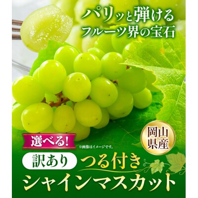 訳ありシャインマスカット2房530g以上配送不可地域あり《9月上旬-10月下旬頃出荷》