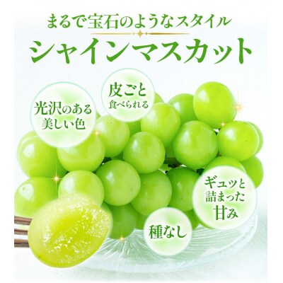 訳ありシャインマスカット2房530g以上配送不可地域あり《9月上旬-10月下旬頃出荷》