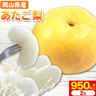 2026�N���� �������� ���2�� �y�z���s�n�悠��z�s2026�N11�����{-12�����{���o�ׁt