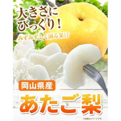 2026年発送 あたご梨 大玉2玉 【配送不可地域あり】《2026年11月下旬-12月下旬頃出荷》
