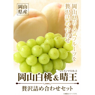 岡山白桃 & シャインマスカット(晴王)セット中 配送不可地域あり《7月上旬-8月中旬頃出荷》