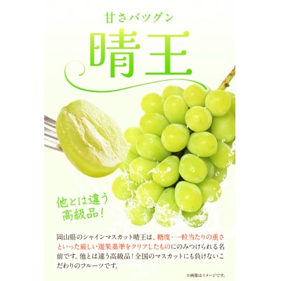 岡山白桃 & シャインマスカット(晴王)セット中 配送不可地域あり《7月上旬-8月中旬頃出荷》