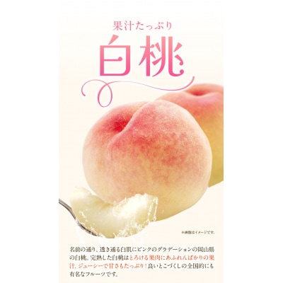 岡山白桃 & シャインマスカット(晴王)セット中 配送不可地域あり《7月上旬-8月中旬頃出荷》