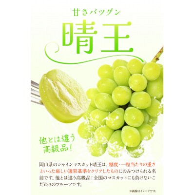 岡山白桃 & シャインマスカット(晴王)セット小 配送不可地域あり《7月上旬-8月中旬頃出荷》