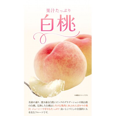 岡山白桃 & シャインマスカット(晴王)セット小 配送不可地域あり《7月上旬-8月中旬頃出荷》