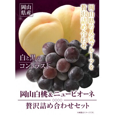 岡山白桃 & ニューピオーネセット小【配送不可地域あり】《7月上旬-8月中旬頃出荷》 