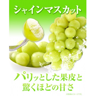 ニューピオーネ2房&シャインマスカット2房《9月上旬-10月下旬頃出荷》