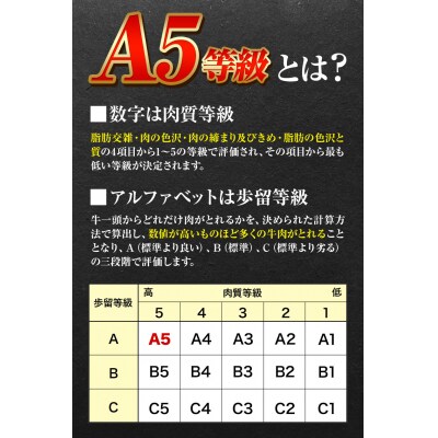 黒毛和牛 肩ロースうす切り 約500g【配送不可地域あり】《30日以内に出荷予定(土日祝除く)》