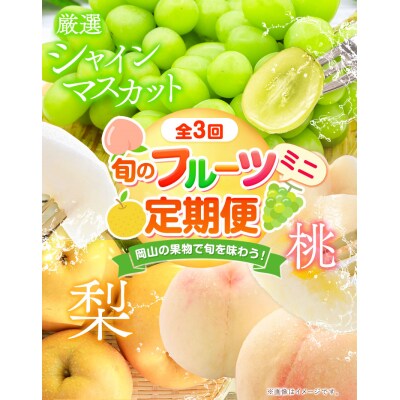 旬のフルーツ定期便 ミニ 全3回《7月上旬-1月末頃発送》
