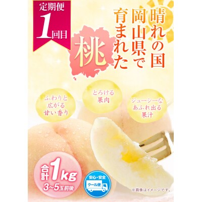 旬のフルーツ定期便 ミニ 全3回《7月上旬-1月末頃発送》