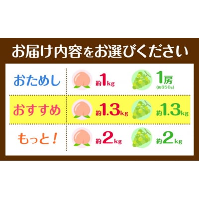 岡山県産 旬の 人気 くだもの 定期便 全2回 おためし《2026年7月上旬-11月中旬頃発送》