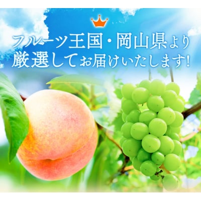 岡山県産 旬の 人気 くだもの 定期便 全2回 おためし《2026年7月上旬-11月中旬頃発送》