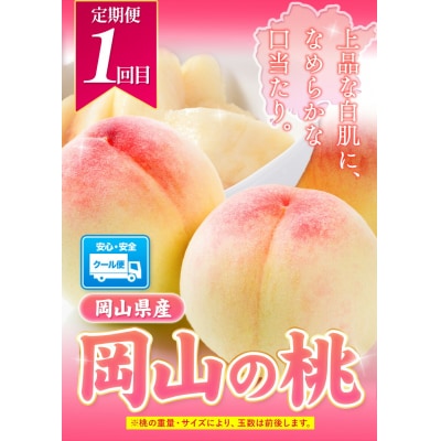 岡山県産 旬の 人気 くだもの 定期便 全2回 おすすめ《2026年7月上旬-11月中旬頃発送》