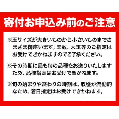 岡山県産 旬の 人気 くだもの 定期便 全2回 おすすめ《2026年7月上旬-11月中旬頃発送》