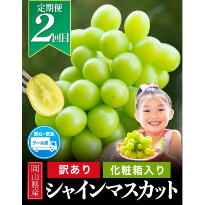 岡山県産 旬の 人気 くだもの 定期便 全2回 おすすめ《2026年7月上旬-11月中旬頃発送》