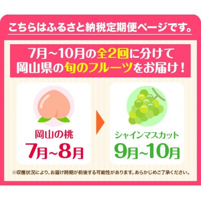 岡山県産 旬の 人気 くだもの 定期便 全2回 もっと!《2026年7月上旬-11月中旬頃発送》