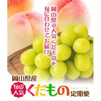 岡山県産 旬の 人気 くだもの 定期便 全2回 もっと!《2026年7月上旬-11月中旬頃発送》