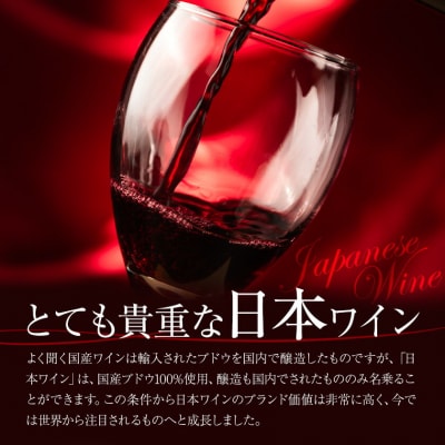 酒 日本ワイン 720ml 1本 矢掛放送 岡山県矢掛町《30日以内に出荷予定(土日祝除く)》