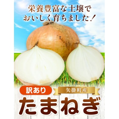 訳あり 玉ねぎ 約2kg《5月末-7月中旬頃出荷》