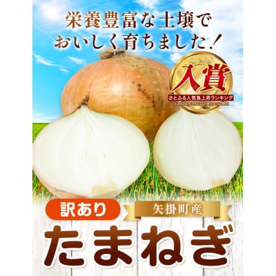 訳あり 玉ねぎ 約2kg《5月末-7月中旬頃出荷》