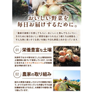 訳あり 玉ねぎ 約5kg《5月末-7月中旬頃出荷》