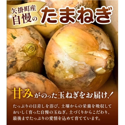 訳あり 玉ねぎ 約5kg《5月末-7月中旬頃出荷》