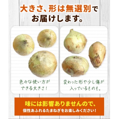 訳あり 玉ねぎ 約10kg《5月末-7月中旬頃出荷》
