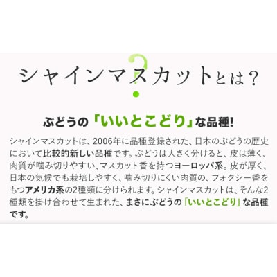 秀品 シャインマスカット 約600g 1房《9月上旬～11月上旬頃に出荷予定(土日祝除く)》