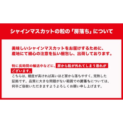 秀品 シャインマスカット 約600g 1房《9月上旬～11月上旬頃に出荷予定(土日祝除く)》