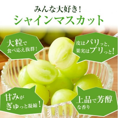 岡山県産 シャインマスカット 約2kg 矢掛Grape Fairies《9月中旬-10月末頃出荷》