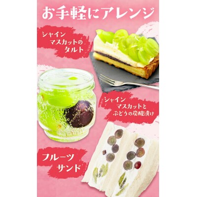 岡山県産 シャインマスカット 約2kg 矢掛Grape Fairies《9月中旬-10月末頃出荷》