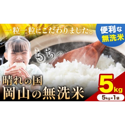 【スピード発送!】 晴れの国岡山の無洗米 5kg  岡山県産《7-14営業日出荷(土日祝除く)》