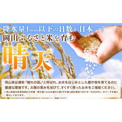 【年明け発送】晴れの国岡山の無洗米 5kg  岡山県産 矢掛町《1月上旬-2月末出荷》