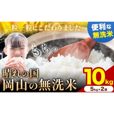 【年明け発送】晴れの国岡山の無洗米 10kg 岡山県産 矢掛町《1月上旬-2月末出荷》