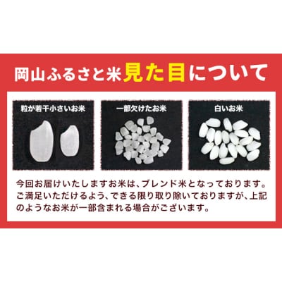 【年明け発送】晴れの国岡山の無洗米 10kg 岡山県産 矢掛町《1月上旬-2月末出荷》