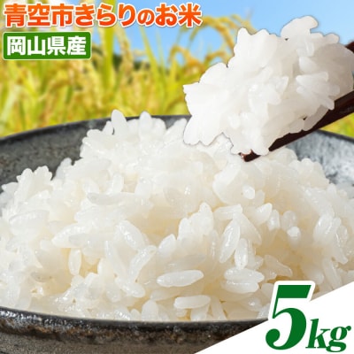 ��s�����̂��� 5kg�s30���ȓ��ɔ����\��(�y���j����)�t