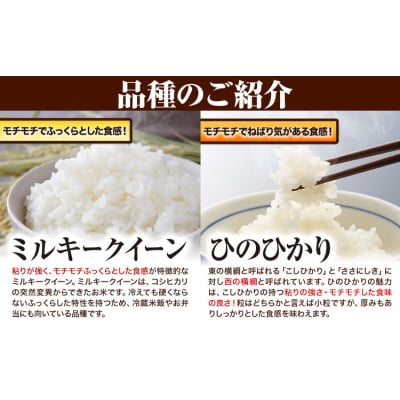 青空市きらりのお米 5kg《30日以内に発送予定(土日祝除く)》