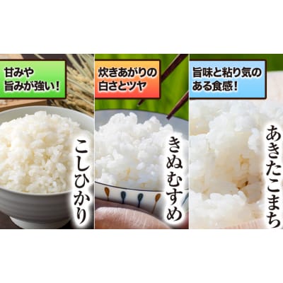 青空市きらりのお米 5kg《30日以内に発送予定(土日祝除く)》