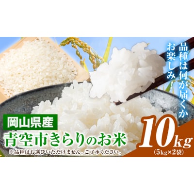 青空市きらりのお米 10kg《30日以内に発送予定(土日祝除く)》