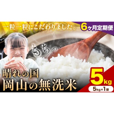 【6ヶ月定期便】晴れの国岡山の無洗米 5kg 岡山県産 矢掛町《申し込み翌月から発送》
