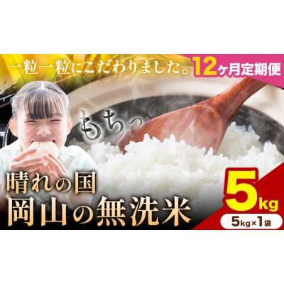 【12ヶ月定期便】晴れの国岡山の無洗米 5kg《申し込み翌月から発送》
