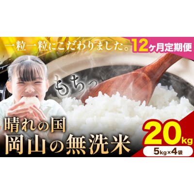 【12ヶ月定期便】晴れの国岡山の無洗米 20kg米《申し込み翌月から発送》