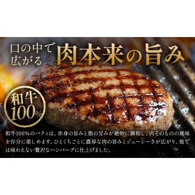 侍が恋したハンバーグ 計750g 150×5個《30日以内に出荷予定(土日祝除く)》