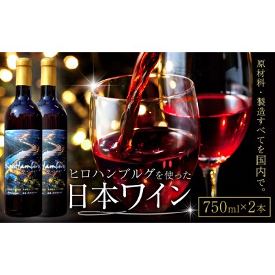 酒 日本ワイン 750ml 2本 矢掛放送 岡山県矢掛町《30日以内に出荷予定(土日祝除く)》