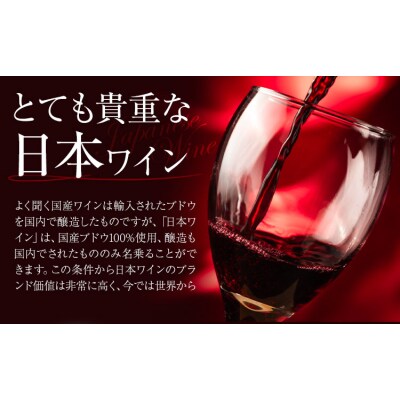 酒 日本ワイン 750ml 2本 矢掛放送 岡山県矢掛町《30日以内に出荷予定(土日祝除く)》
