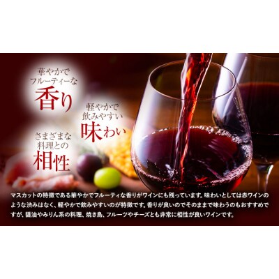 酒 日本ワイン 750ml 2本 矢掛放送 岡山県矢掛町《30日以内に出荷予定(土日祝除く)》