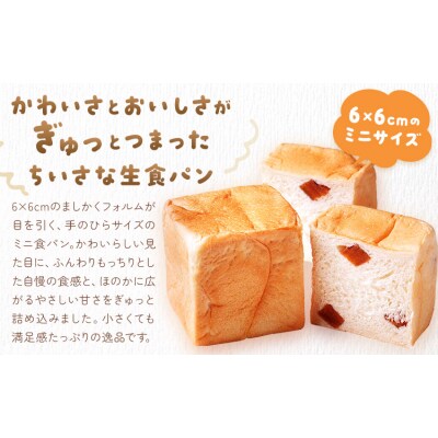 侍が恋する ましかくミニ生食パン 計12個 侍が恋するパン屋《30日以内に出荷予定(土日祝除く)》