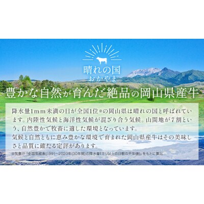 岡山県産牛 ステーキ サーロインorリブ 交雑牛 500g《60日以内に出荷予定(土日祝除く)》