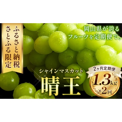 【2ヶ月定期便】晴王 シャインマスカット 約1.3kg×2回《9月上旬-10月末頃出荷》
